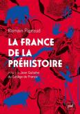 LA FRANCE DE LA PRéHISTOIRE