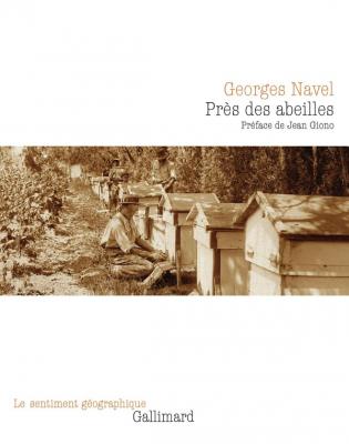 pres-des-abeilles