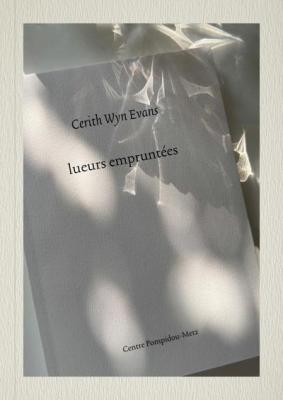 cerith-wyn-evans-lueurs-empruntees