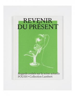 revenir-du-present-poush-a-la-collection-lambert