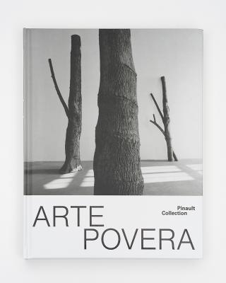 arte-povera-300-millions-d-annees